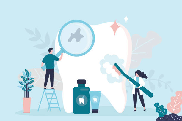 Best Dental Exams and Cleanings  in Princess Anne, MD